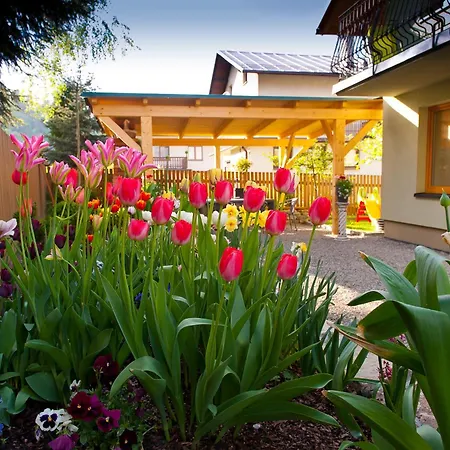 Homestay Nowa Osada